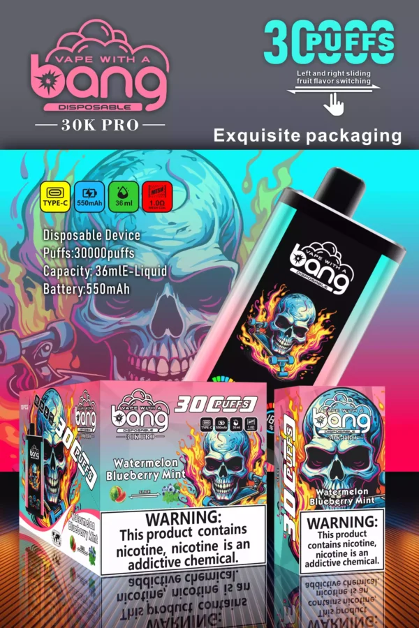 2025 HOT Bang 30000 Puffs Disposable Vapes 550mah Type C liquid Bulk Purchase with Unique Flavors (2)