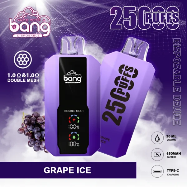 Bang 25000 Puffs 10 1