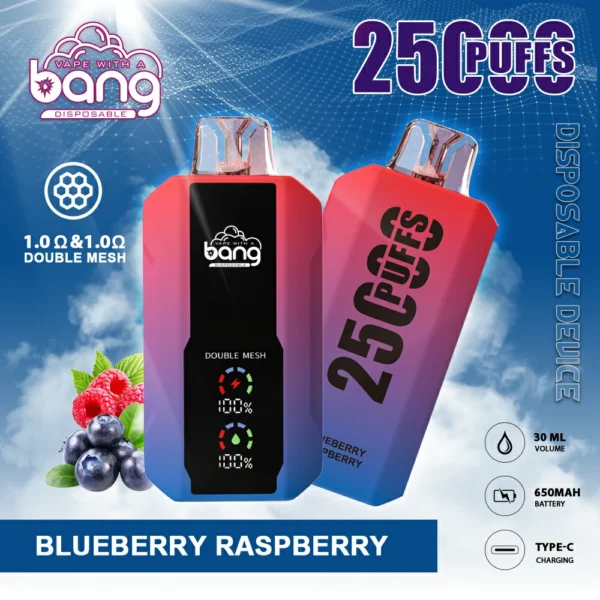 Bang 25000 Puffs 11