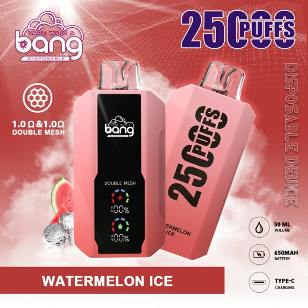 Bang 25000 Puffs 12