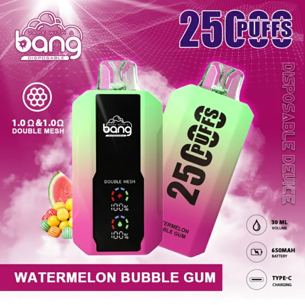 Bang 25000 Puffs 13