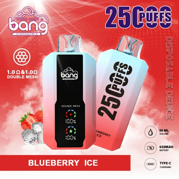 Bang 25000 Puffs 2