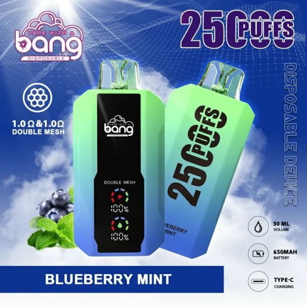 Bang 25000 Puffs