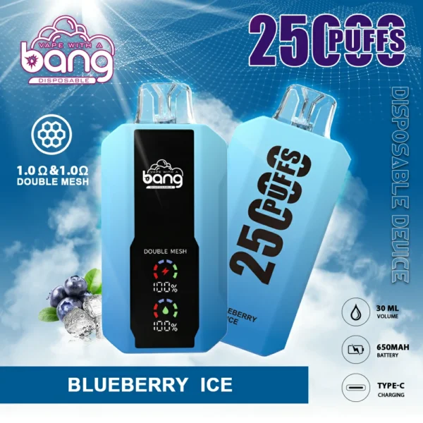 Bang 25000 Puffs 7