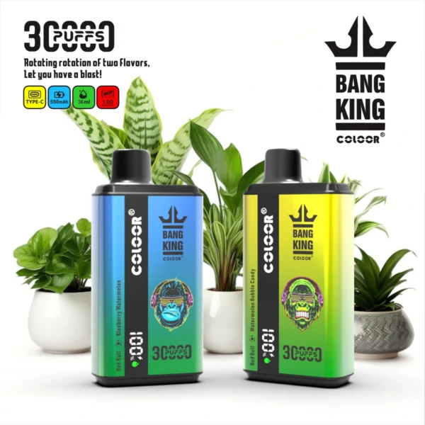 Bang-King-30000-Puffs-6.webp