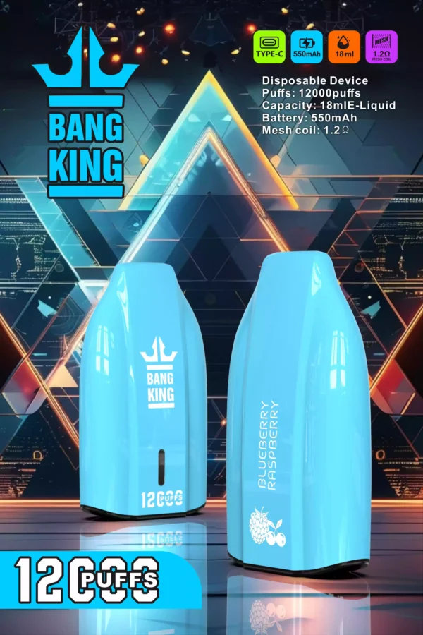 Bang king 12000 Puffs Disposable Vape with Multiple Nicotine Strengths Available for Bulk Orders 3 scaled