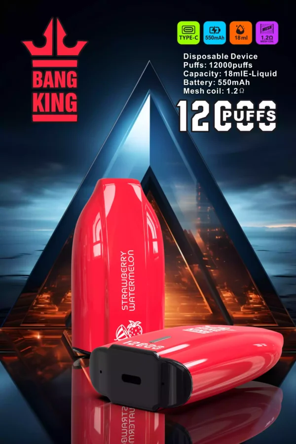 Bang king 12000 Puffs Disposable Vape with Multiple Nicotine Strengths Available for Bulk Orders 5 scaled