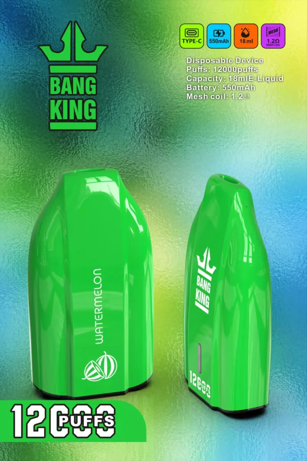 Bang king 12000 Puffs Disposable Vape with Multiple Nicotine Strengths Available for Bulk Orders 7 scaled