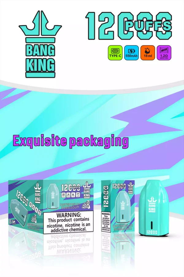 Bang king 12000 Puffs Disposable Vape with Multiple Nicotine Strengths Available for Bulk Orders 8 scaled