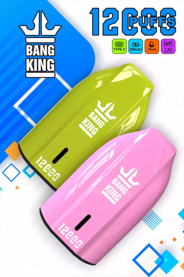 Bang king 12000 Puffs Disposable Vape with Multiple Nicotine Strengths Available for Bulk Orders 9 scaled