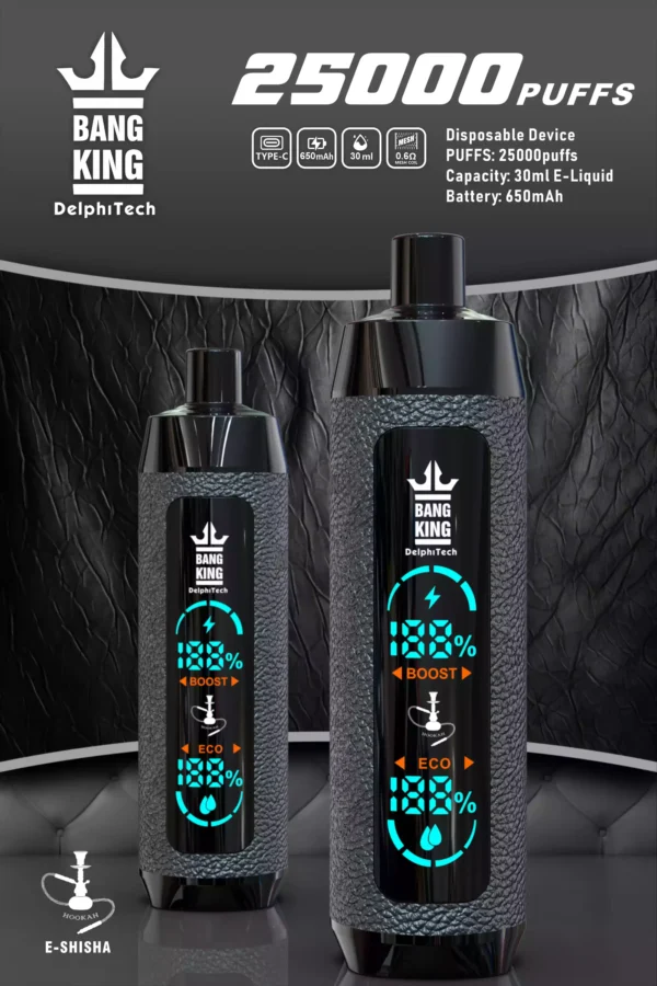 Bang king 25000puffs Leather Case Factory Bulk Buy Disposable Vape 30ml E liquid and 12 Flavors 1 scaled