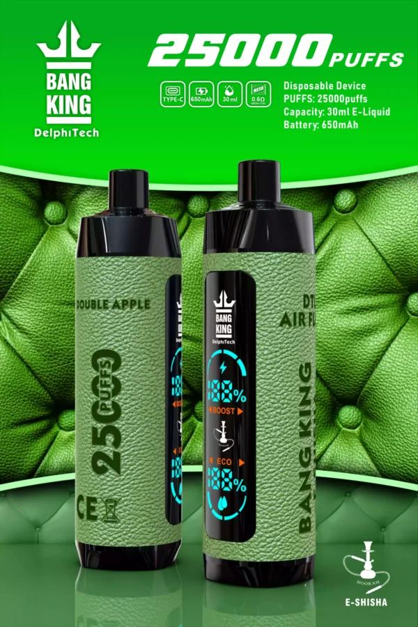 Bang king 25000puffs Custodia in pelle di fabbrica Acquista all'ingrosso Vape monouso 30 ml E liquido e 12 gusti (3)