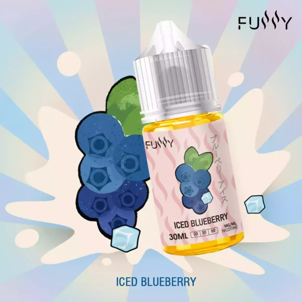 Fussy 30ML E Liquid Wholesale Bulk Buy Save 40 Nicotine 30MG Fresh 23 Flavors Original Factory 24