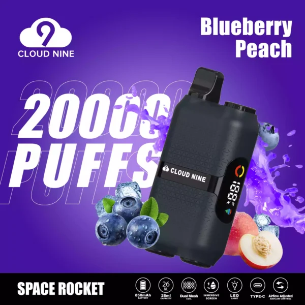 Original Factory CLOUD NINE D33 20000 Puffs Wholesale Bulk Buy Disposable Vape 5 Nicotine Fresh 10 Flavors 2024 New 3