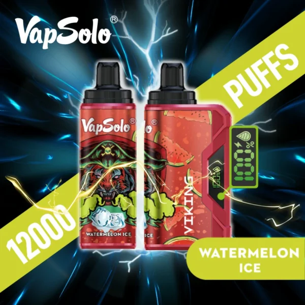 Vapsolo Viking 12000 Puffs 11