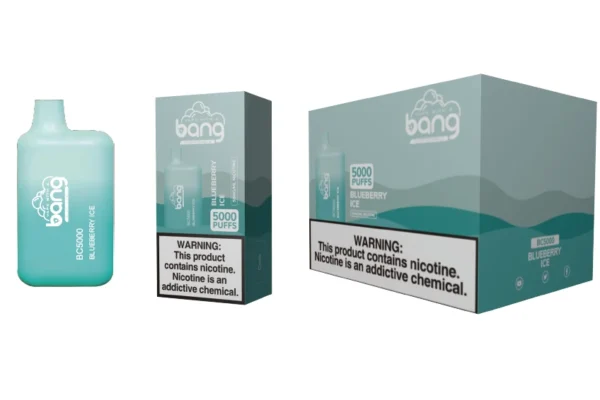 bang bc 5000 puffs 17