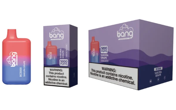 bang bc 5000 puffs 2