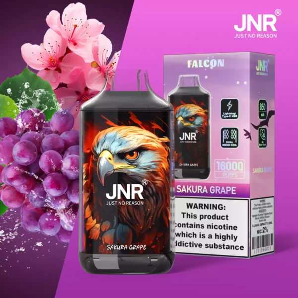 Top Selling JNR Falcon 16000 Puffs Wholesale Disposable Vape With 0 2 5 Nicotine 850 Mah Rechargeable Battery And Crystal Craft Design Available For Wholesale Buying 16