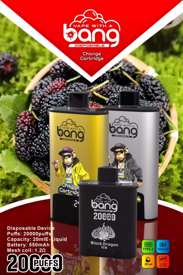 BANG B20HD 20000 Puff Rechargeable Vape Type C Mesh Coil 550mAh Battery Power 24 scaled