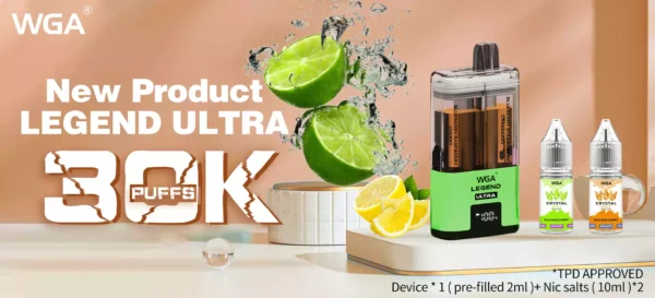 WGA 30K Vape 30000 Puffs Dual Flavor Rechargeable Type C Wholesale 1