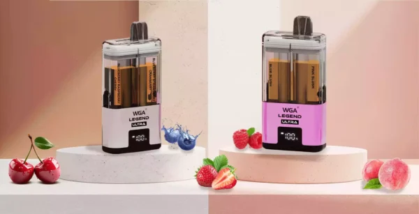 WGA 30K Vape 30000 Puffs Dual Flavor Rechargeable Type C Wholesale 4